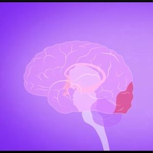 Meet your Posher, Jeremiah